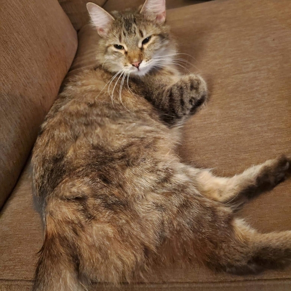 Meet your Posher, Theresia - Picture 5 of 5